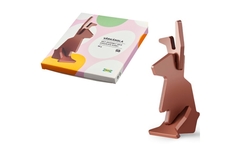 Image Self-assembly chocolate bunny package